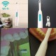 Camara Intra-oral WIFI