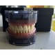 Frasaco Modelo  A-REEM Z3RN 903