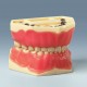 Frasaco Modelo AK6/2 (pediátrico)