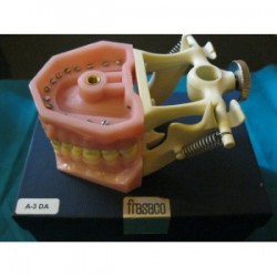 Frasaco Modelo A3-DA (adulto)